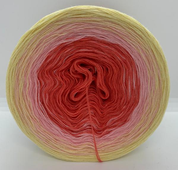 Superschnäppchen 39